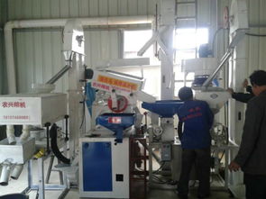 批發(fā)供應(yīng)廠家直銷組合碾米機(jī)成套設(shè)備 價(jià)格、圖片與技術(shù)服務(wù)詳解