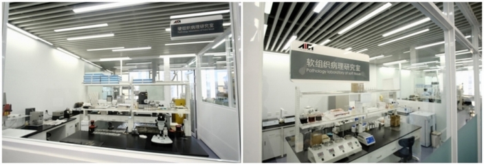 上海技術服務有限公司 專業驅動，智領未來